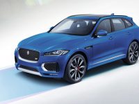 Jaguar : la marque auto préférée des jeunes Seniors