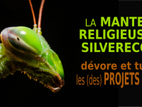 La Mante Religieuse SilverEco dévore et tue les (des) projets 50+